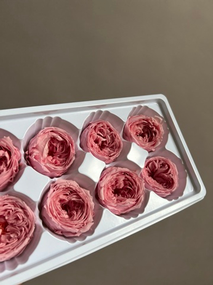 Роза пиновидная розовая d=4-5 см (упак 8 шт)