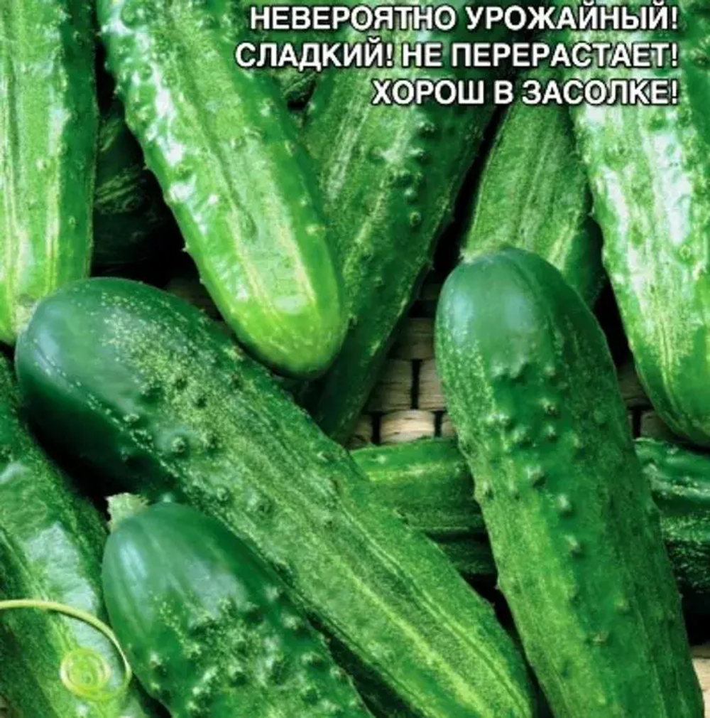 Огурец Красотка 10шт