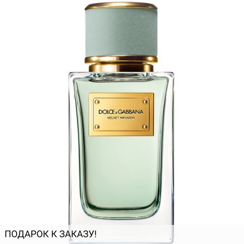 Dolce and Gabbana Velvet Infusion