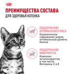 Royal Canin Kitten Sterilised Киттен Стерилайзд Корм влажный для кастрированных и стерилизованных котят в возрасте от 6 до 12 месяцев соус 85г