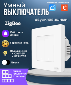 Двухместная рамка для умного выключателя 2-постовая Moes