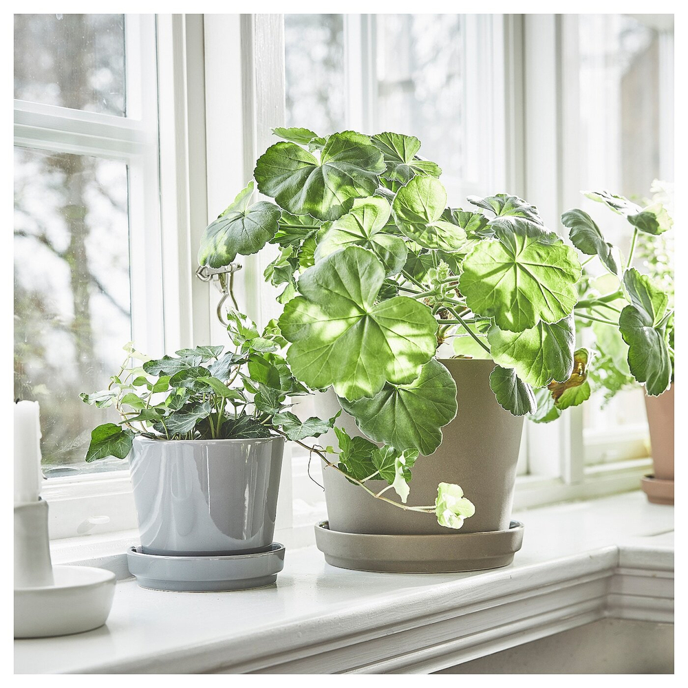 IKEA CITRUSFRUKT  (ИКЕА СИТРУСФРУКТ)  -  Цветочный горшок с подставкой, серый, 12 см