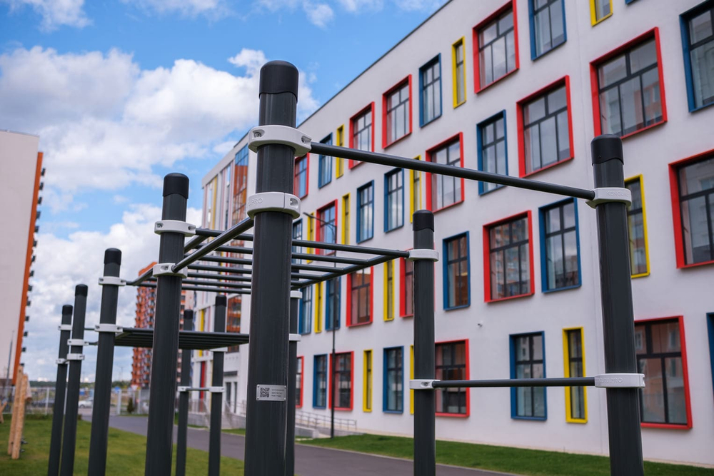 Воркаут комплекс рукоход классический двухуровневый и 6 турников - Диксон