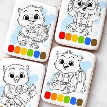 Пряник раскраска "Умная совушка" на 1 сентября