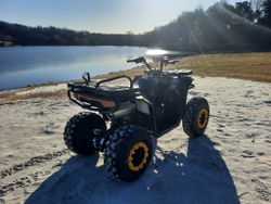 Квадроцикл бензиновый MOTAX GRIZLIK W200