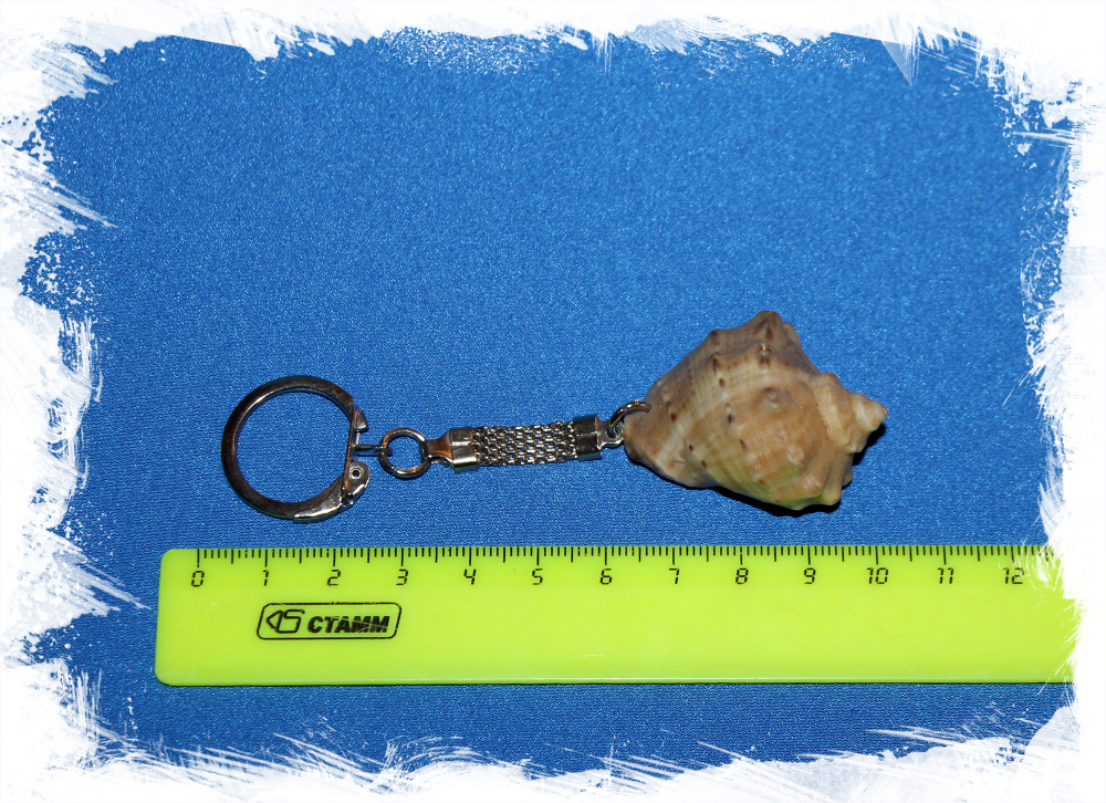 Морской сувенир брелок с ракушкой