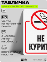 Табличка для частной территории "Не курить", на дом, для участка, для подъезда, организаций и частных территорий, предупреждающая, 40х30 см, Silver Plane x Айдентика Технолоджи