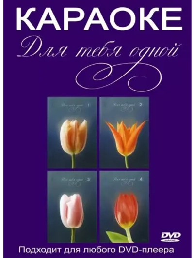 Для Тебя Одной (4 DVD) (Караоке DVD)