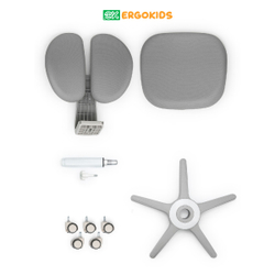 Стул для школьника Ergokids Sprint Duo