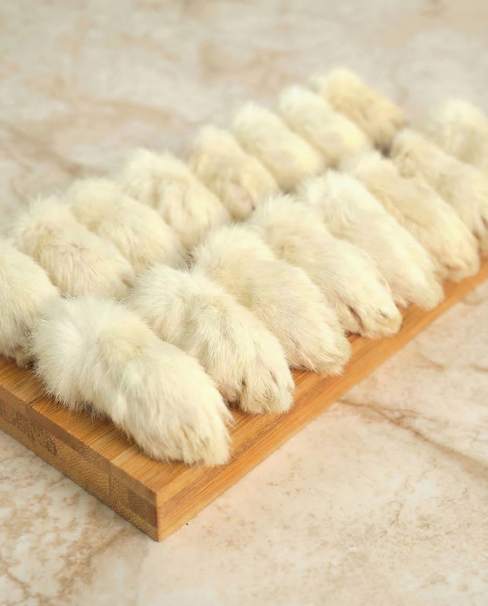 Лапки кролика передние