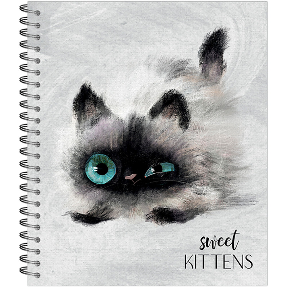 ТЕТРАДЬ ОБЩАЯ 48 ЛИСТОВ НА СПИРАЛИ “Глазастые котики”