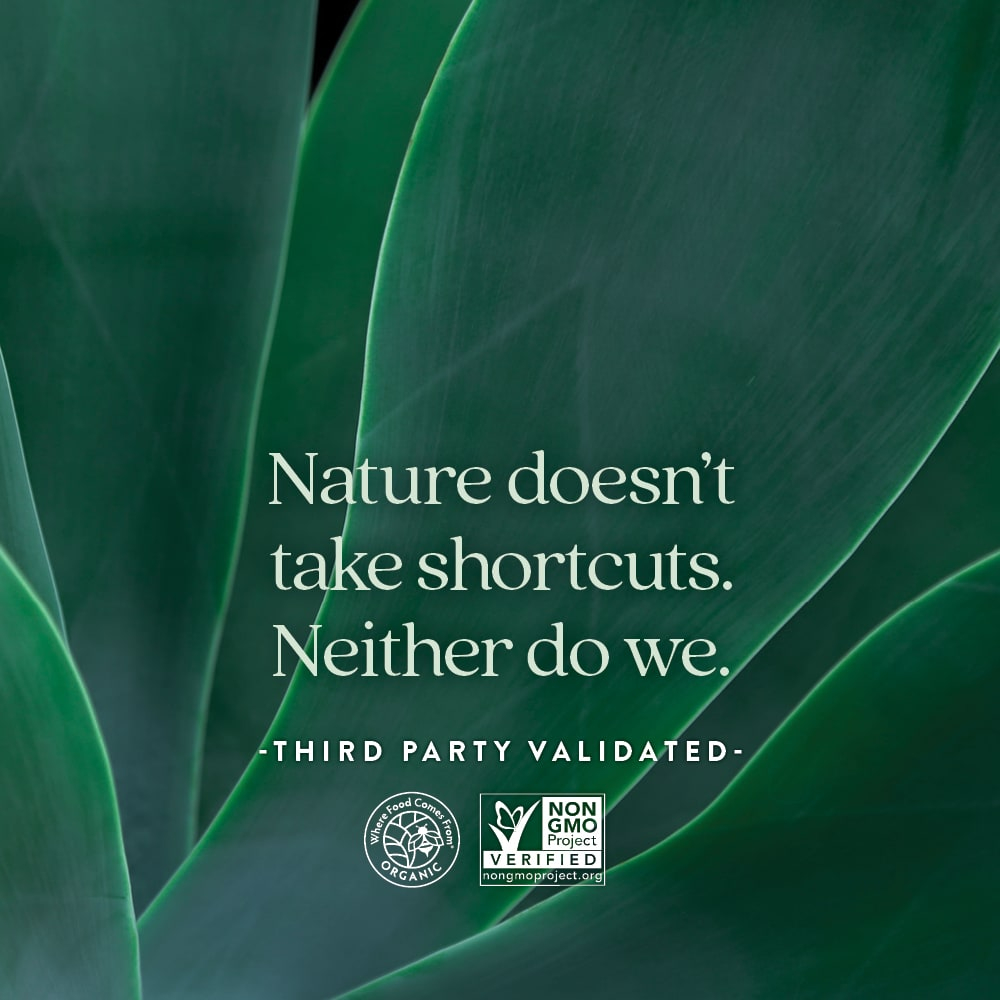 New Chapter, Витамин C + для иммунной защиты, цитрус, 60 жевательных таблеток