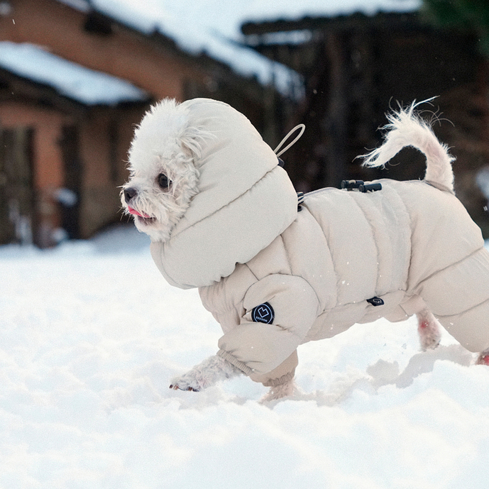 671 Комбинезон "Комфорт до -20-25°C" с молнией на спине, унисекс / COMFORT - FOR BOYS, для мальчика PREMIUM (SSOOOK)