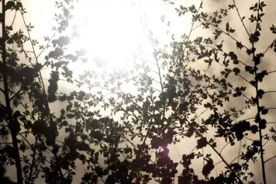 Цифровое панно ID Wall SUNLIGHT