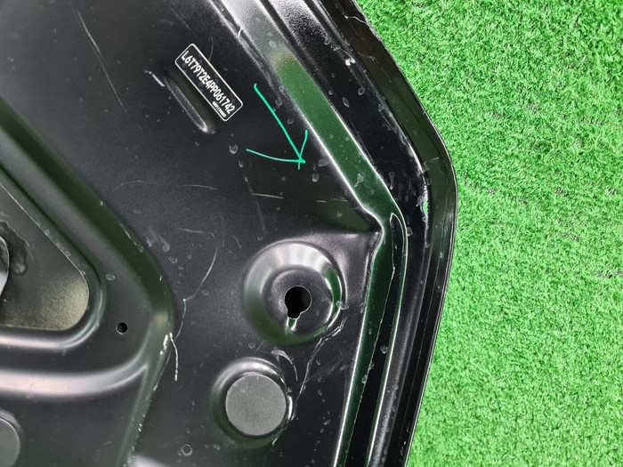 Капот Zeekr 009 (2022-н.в.)