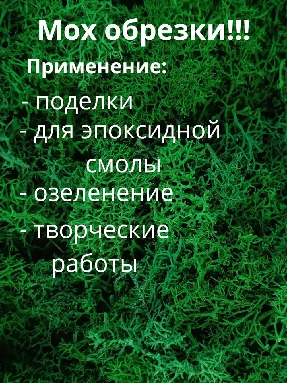 Мох стабилизированный обрезки для рукоделия