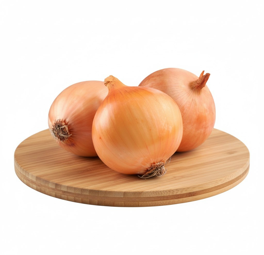 Лук репчатый