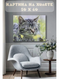 Картина на стену 40 X 50 Кошка