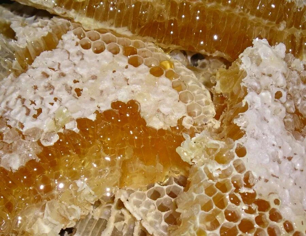 Мёд цветочный в мини- сотах разнотравный, Алтайский край, 385-490 гр.