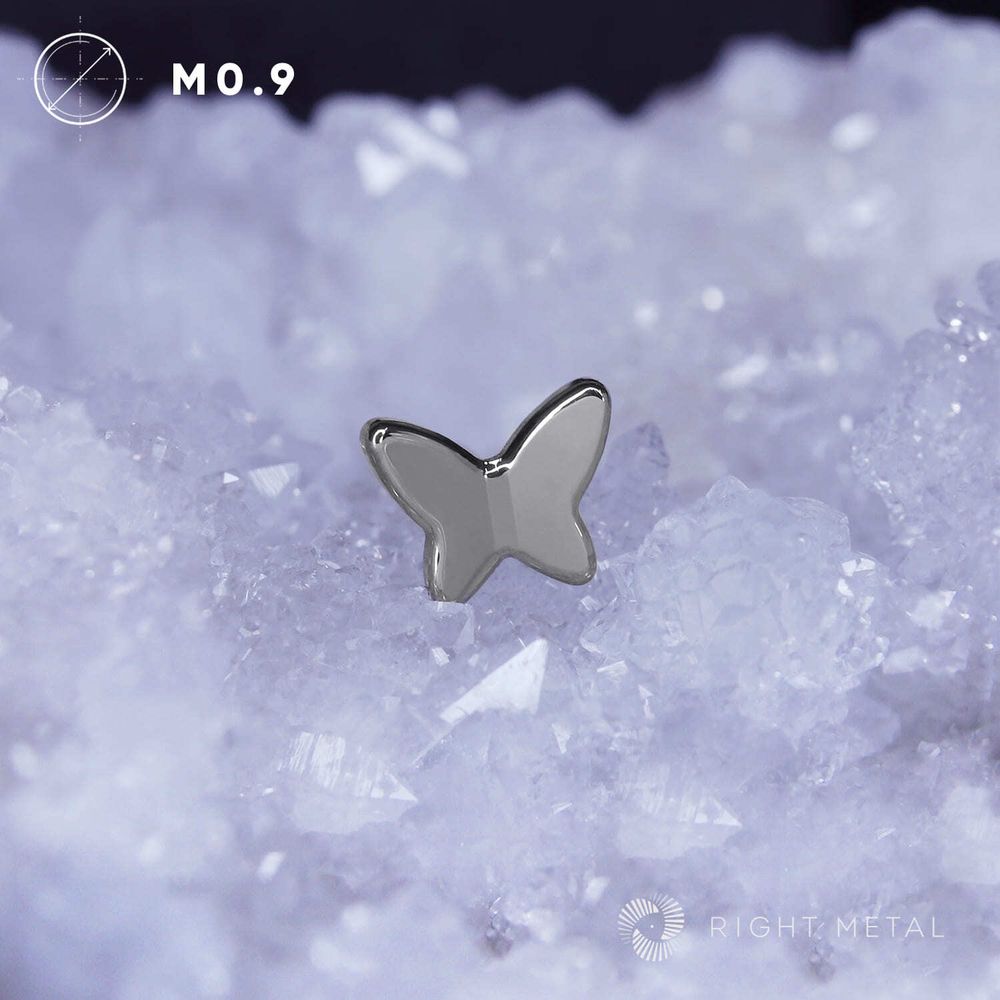 Butterfly Simple
