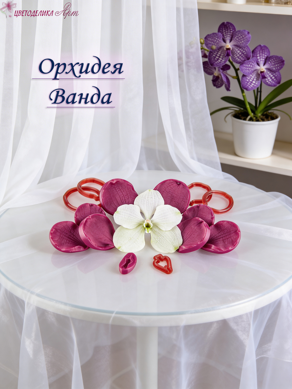 Орхидея Ванда