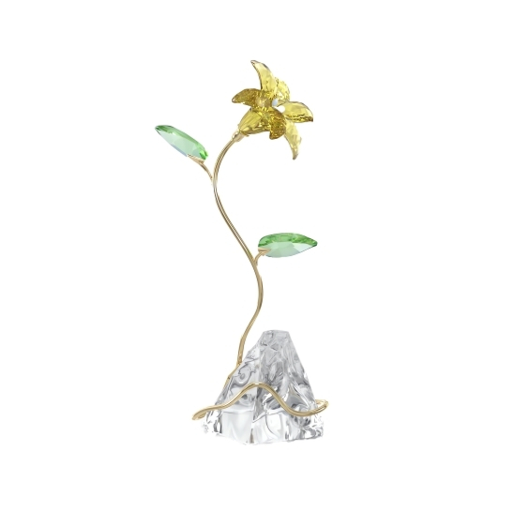 FLORERE:LILY