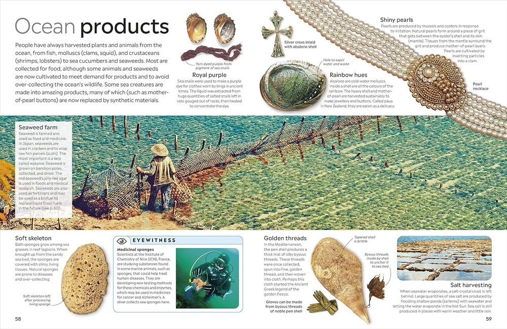 Ocean (DK Eyewitness) Hardcover