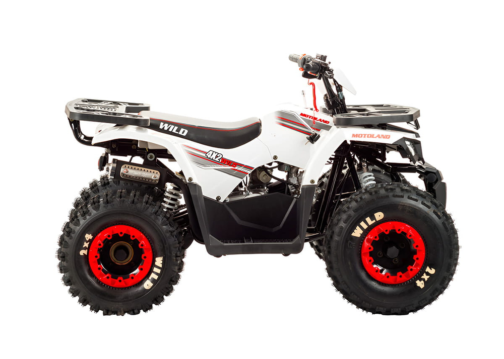 Квадроцикл MOTOLAND 125 Wild