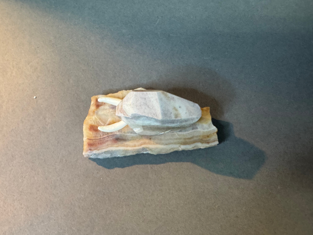 Мамонт шерстистый