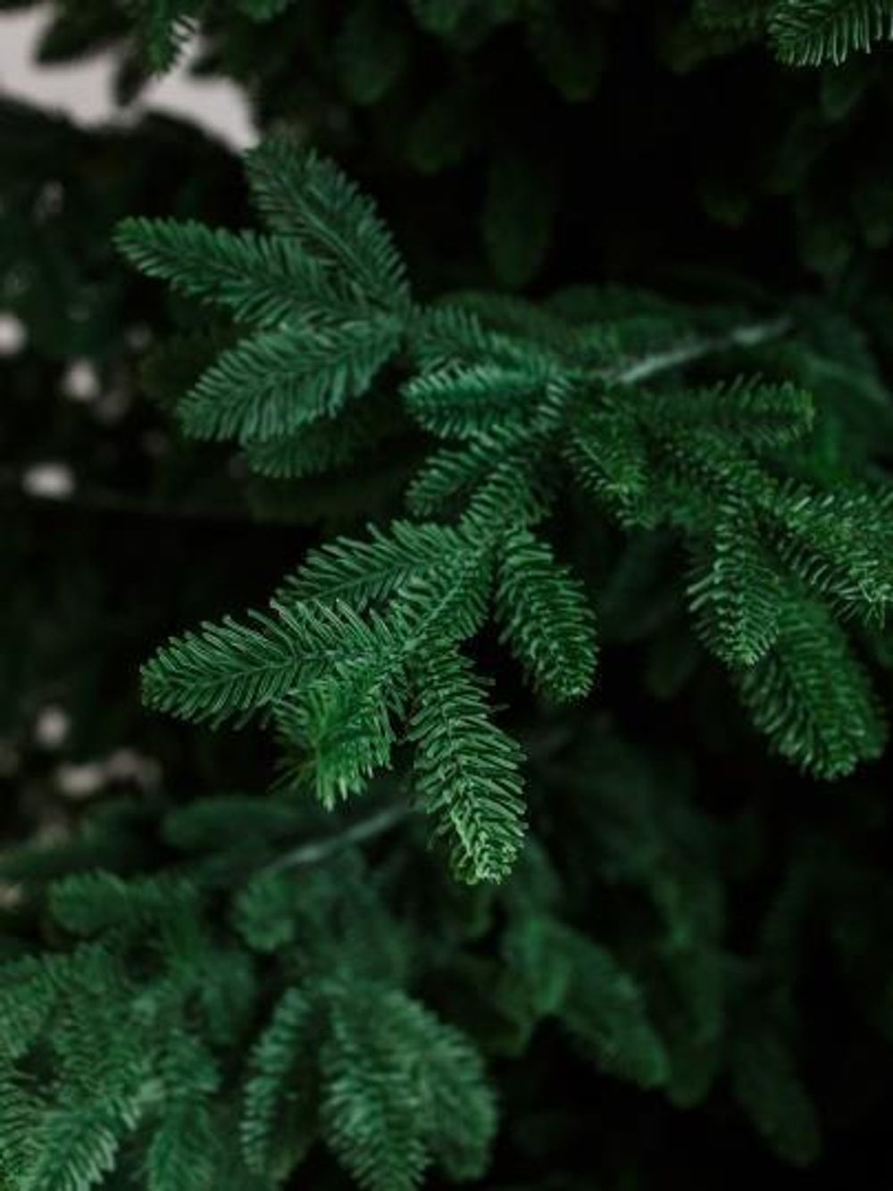 Большая елка «Норвежская Люкс» GT (Литая хвоя) 270 см / 2,7 м