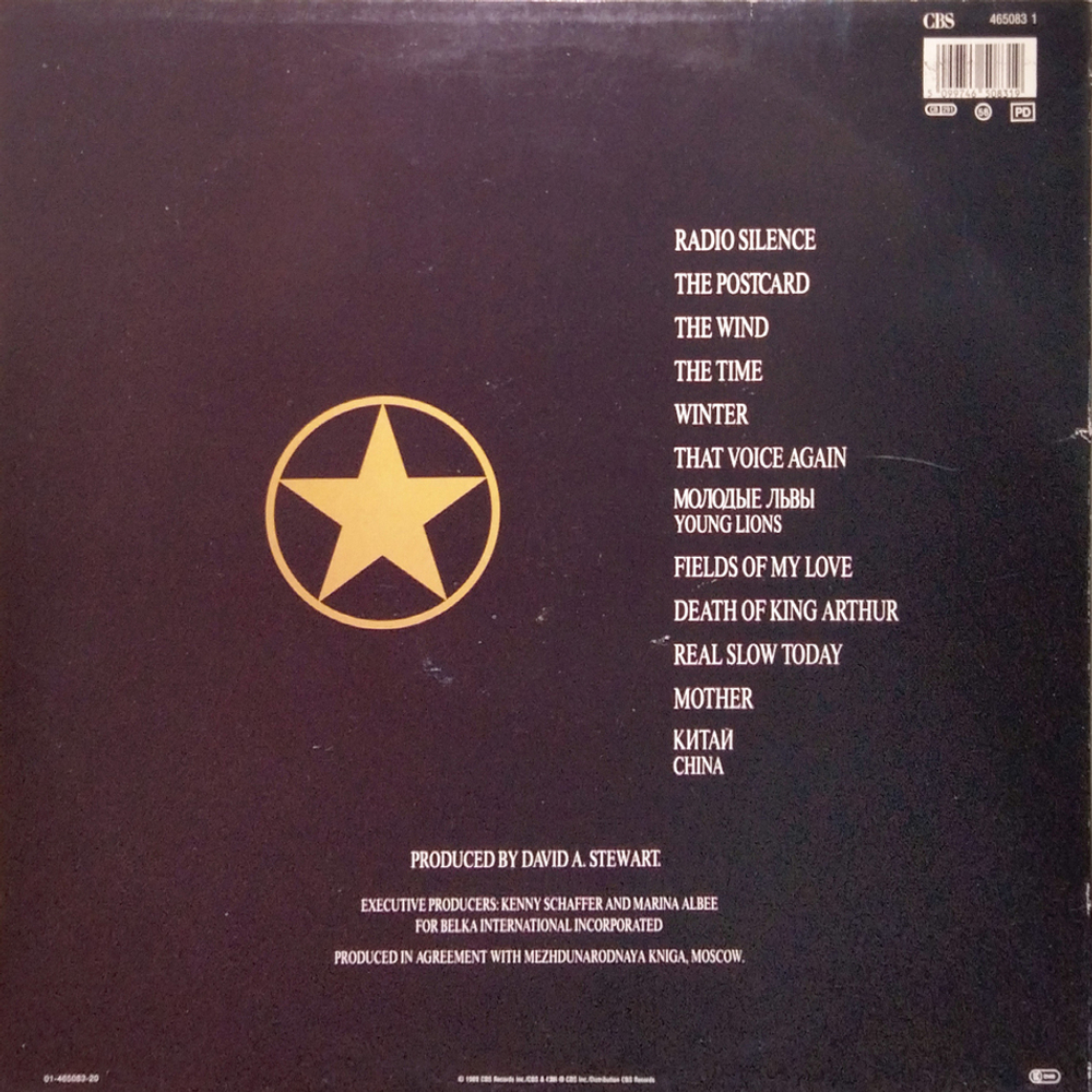 БГ / Radio Silence (LP)