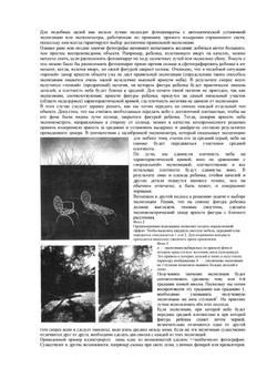 Экспозиция в фотографии | Л. Гонт