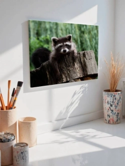 Картина на стену 40 X 50 Енот