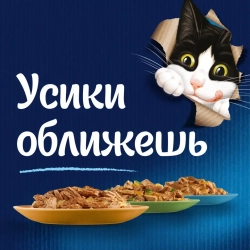 Felix влажный корм для кошек аппетитные кусочки с говядиной пауч 75 г