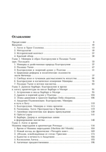 Триумф Минервы: от мифа к логосу. Андреа Палладио,масоны и свобода воли. ПРЕДЗАКАЗ 15% До 23.12.2025