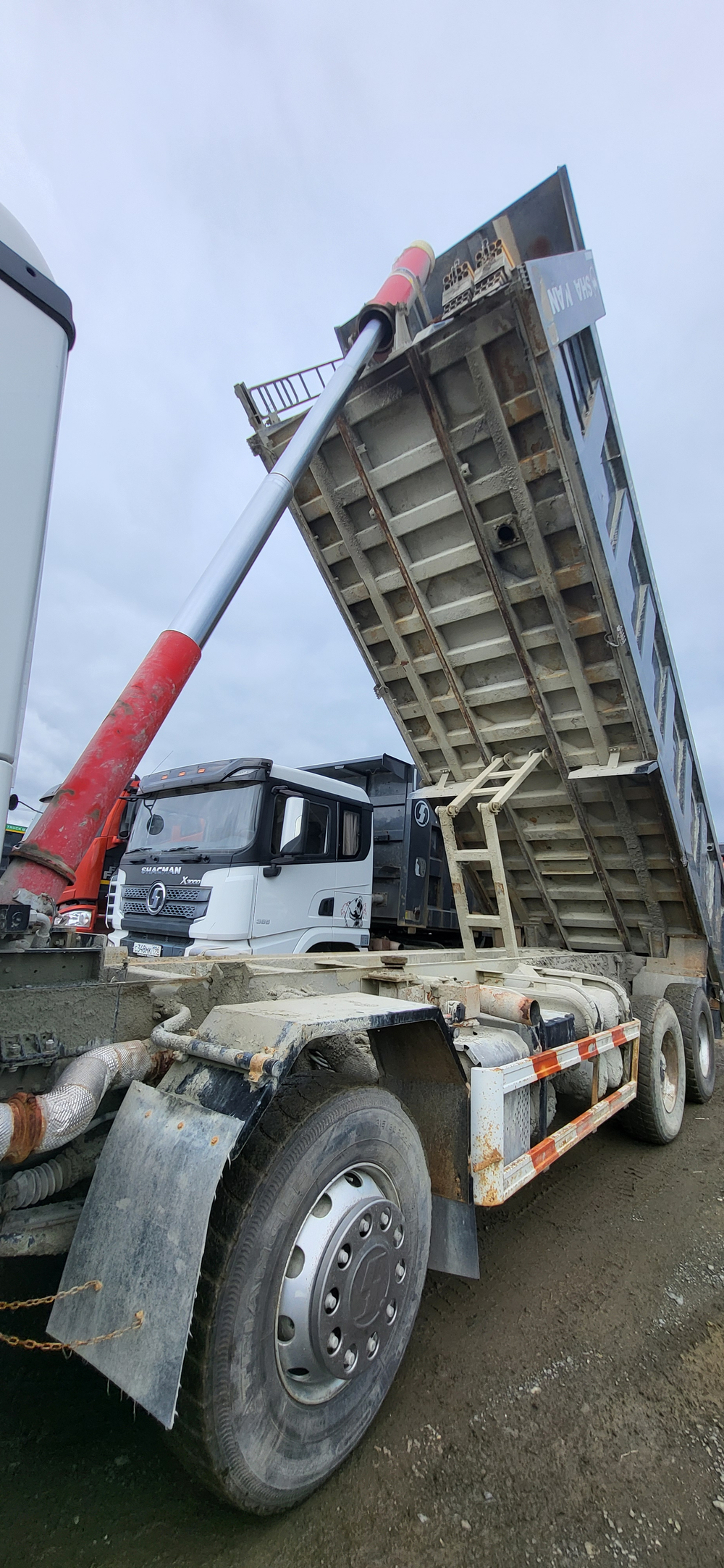Shacman (Shaanxi) SX* 8x4 Самосвал SX33186V366 (Дизельный, 11,6 л, 423 л.с., МТ)