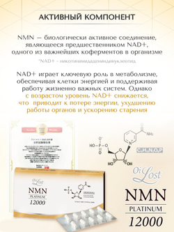 NMN 12000 мг Eurost внутриклеточное омоложение организма, 60капсул.