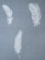 Наволочка 50х70 100% хлопок / 50 70/ 50*70/ 50 на 70