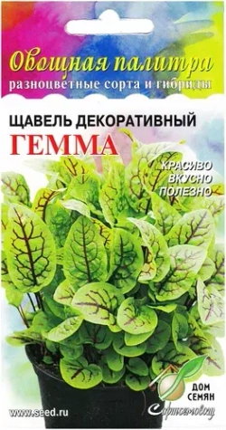 ЩАВЕЛЬ