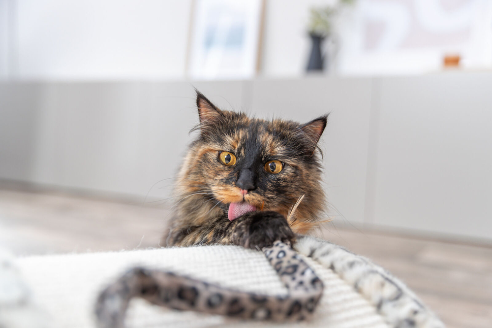 Когтеточка Leo, 25 см, кремовый, Trixie