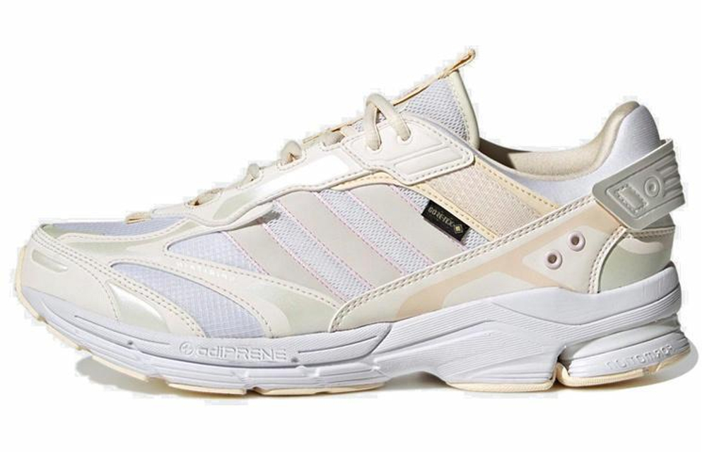 Кроссовки Adidas Spiritain 2000 Gore-Tex