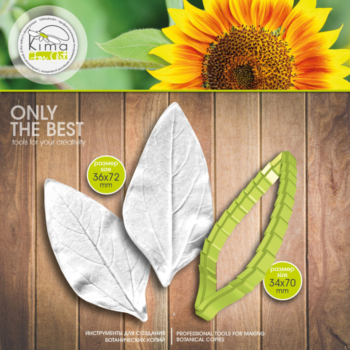 Подсолнух лист маленький