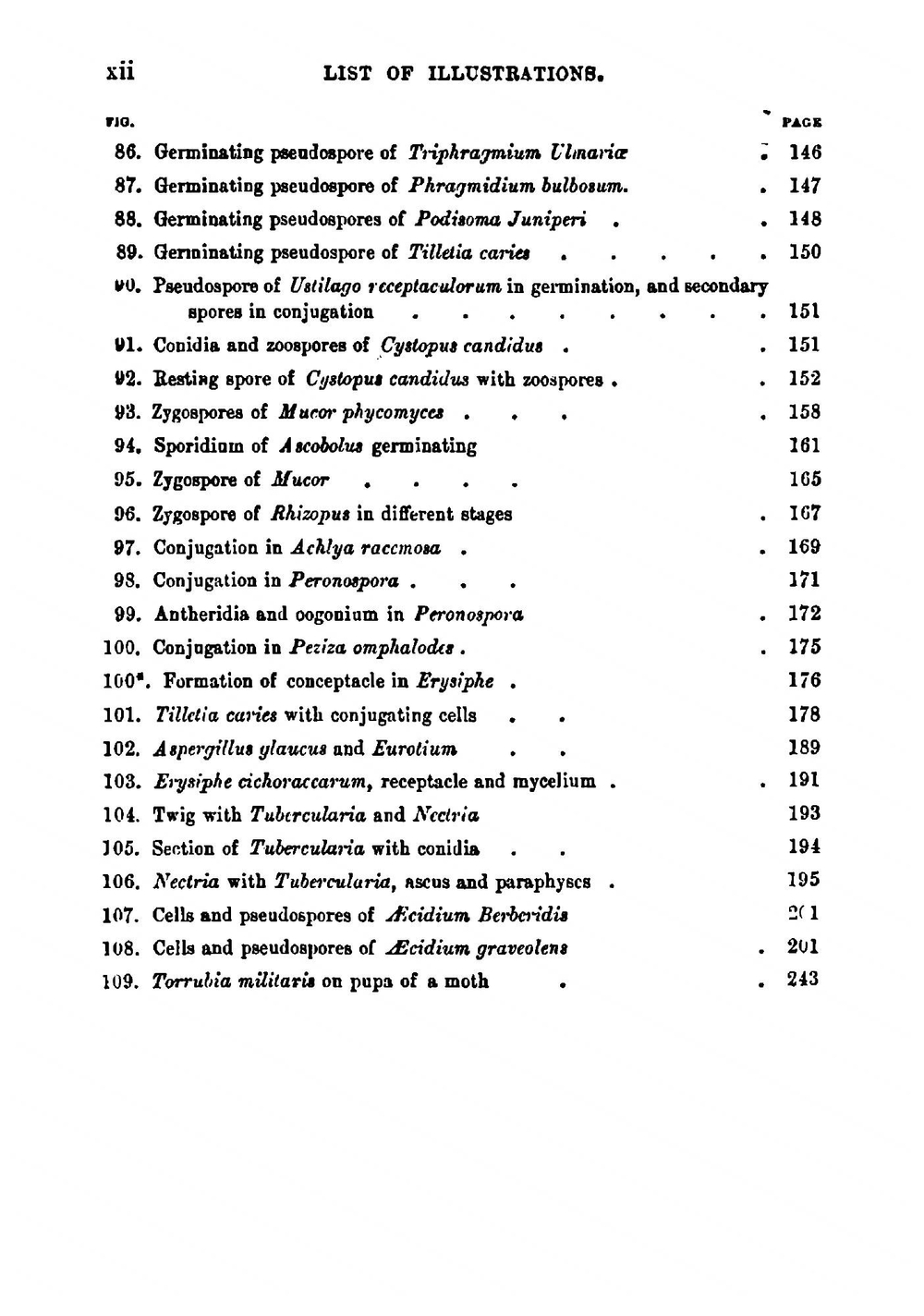 Fungi | Miles Joseph Berkeley