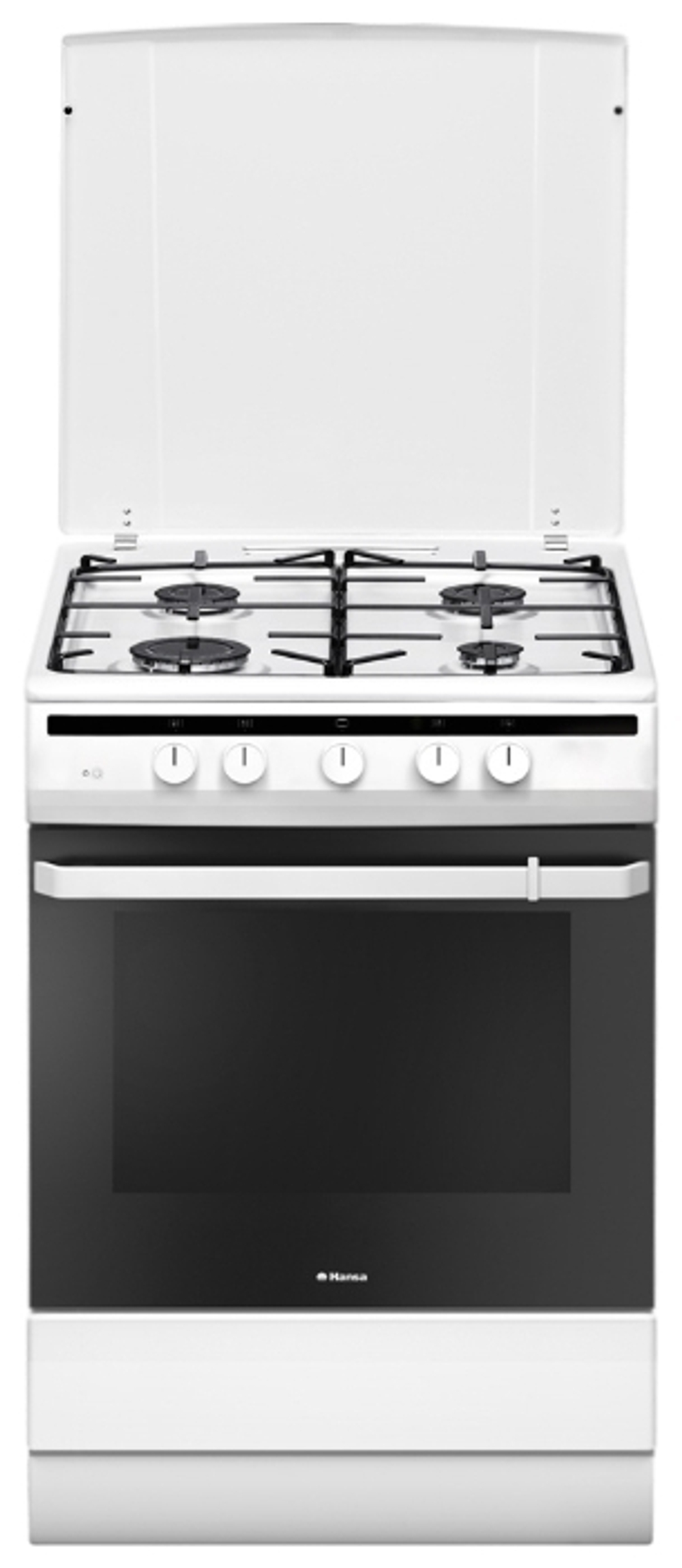 Кухонная плита Hansa FCGW61000