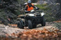 Квадроцикл Kawasaki Brute Force 750 LE EPS Camo (2024) (ПСМ)