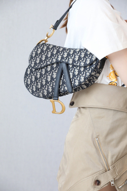 Christian Dior Saddle Bag 25 cm