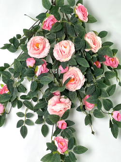 Роза ампельная розовая