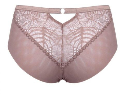 Трусики-слипы Denver из эластичного кружевного полотна и сетки (Размер: 38) (Цвет: кофейный)
