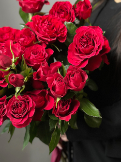 Кустовые розы сорт «BELLA LOVE» (Эквадор, премиум)