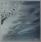 Alter Bridge – Walk The Sky - LP